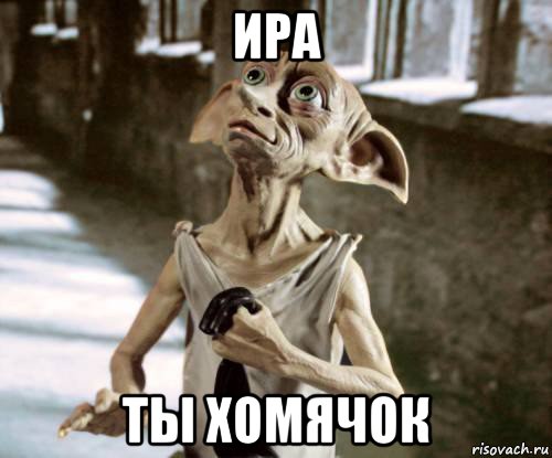 ира ты хомячок, Мем добби