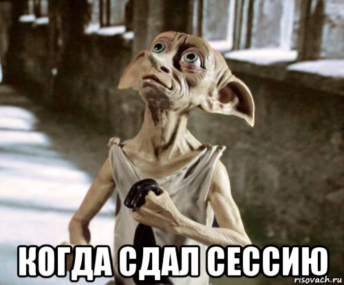  когда сдал сессию, Мем добби