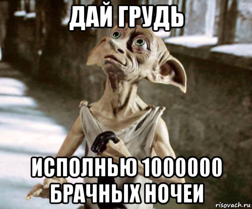 дай грудь исполнью 1000000 брачных ночеи, Мем добби