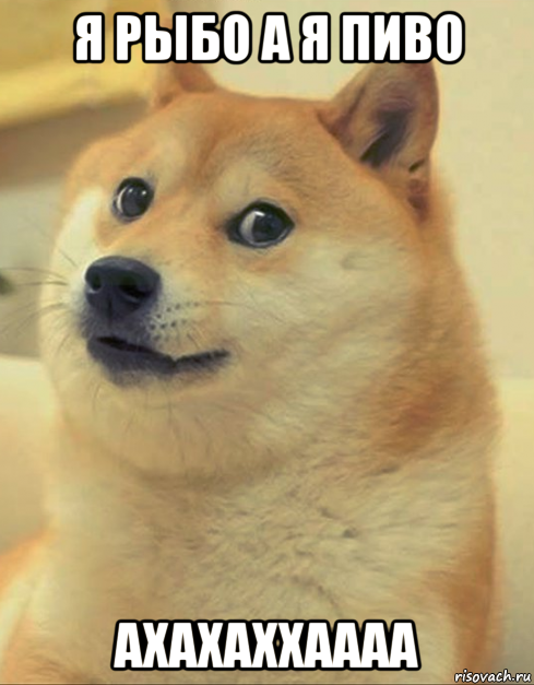 я рыбо а я пиво ахахаххаааа, Мем doge woof