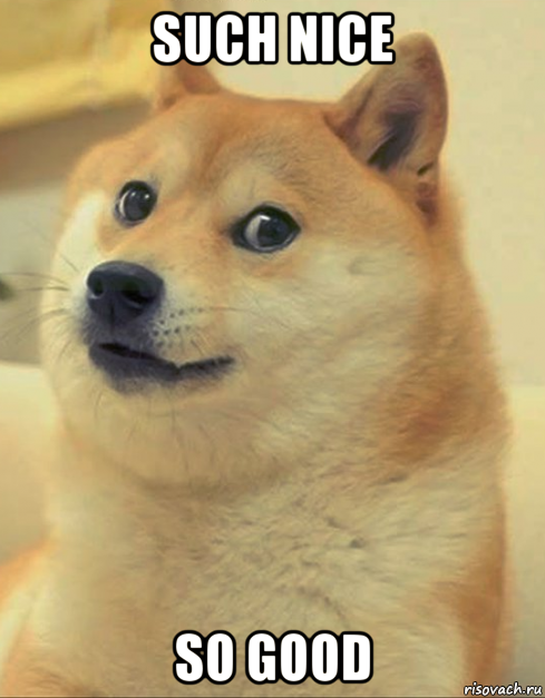 such nice so good, Мем doge woof