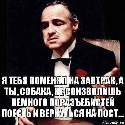 Я тебя поменял на завтрак, а ты, собака, не соизволишь немного поразъебистей поесть и вернуться на пост...