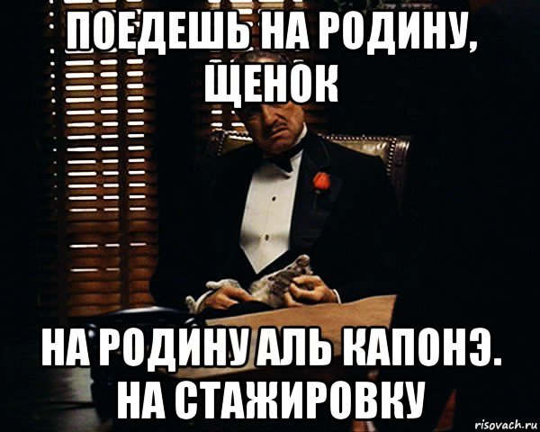 поедешь на родину, щенок на родину аль капонэ. на стажировку, Мем Дон Вито Корлеоне