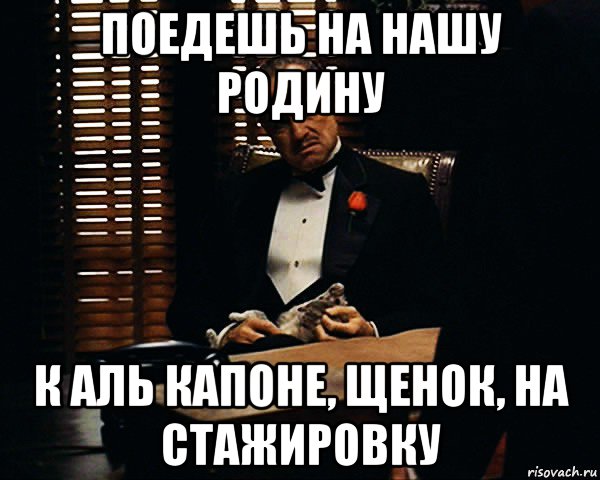 поедешь на нашу родину к аль капоне, щенок, на стажировку, Мем Дон Вито Корлеоне