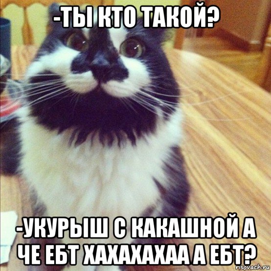 -ты кто такой? -укурыш с какашной а че ебт хахахахаа а ебт?, Мем  довольный кот