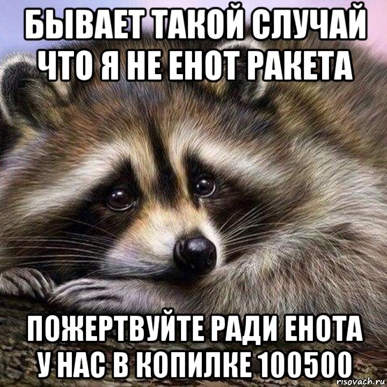 бывает такой случай что я не енот ракета пожертвуйте ради енота у нас в копилке 100500