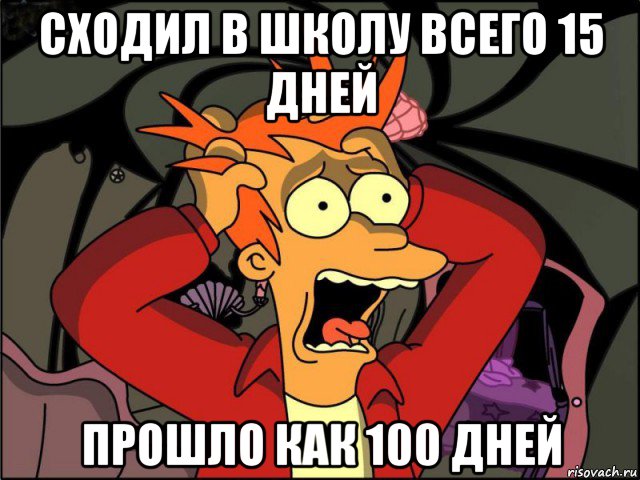 сходил в школу всего 15 дней прошло как 100 дней, Мем Фрай в панике