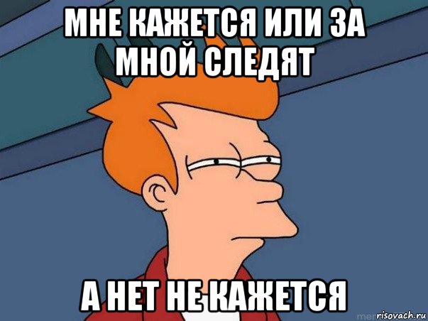 мне кажется или за мной следят а нет не кажется, Мем  Фрай (мне кажется или)