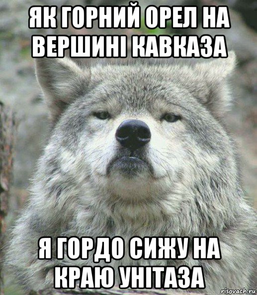 як горний орел на вершині кавказа я гордо сижу на краю унітаза, Мем    Гордый волк