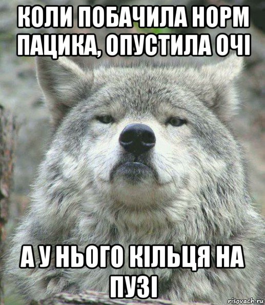 коли побачила норм пацика, опустила очі а у нього кільця на пузі, Мем    Гордый волк