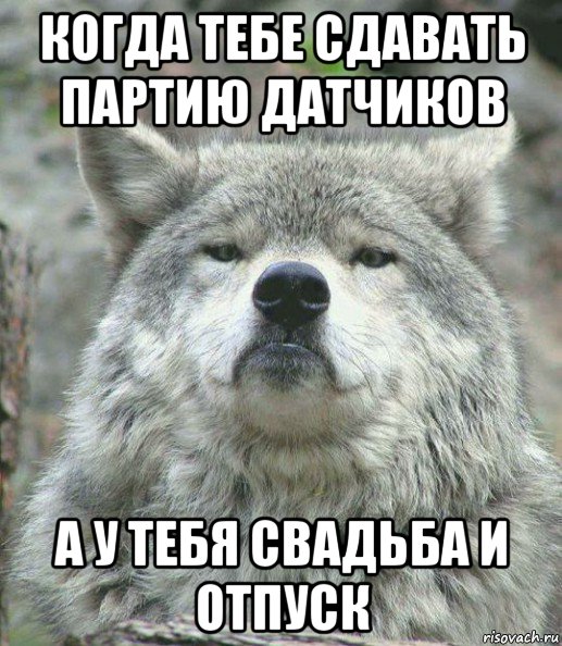 когда тебе сдавать партию датчиков а у тебя свадьба и отпуск, Мем    Гордый волк