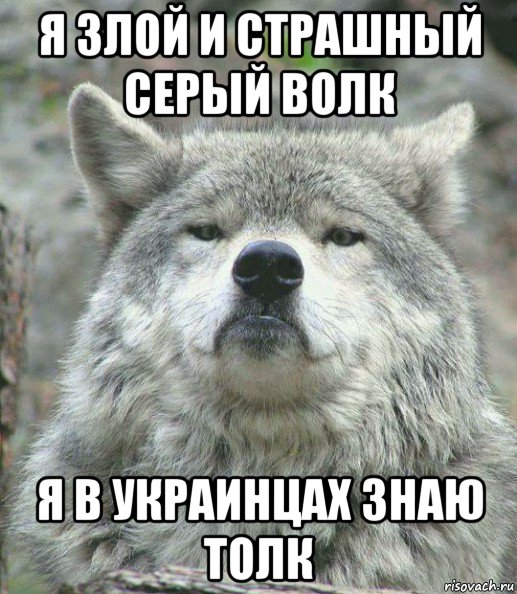 я злой и страшный серый волк я в украинцах знаю толк, Мем    Гордый волк