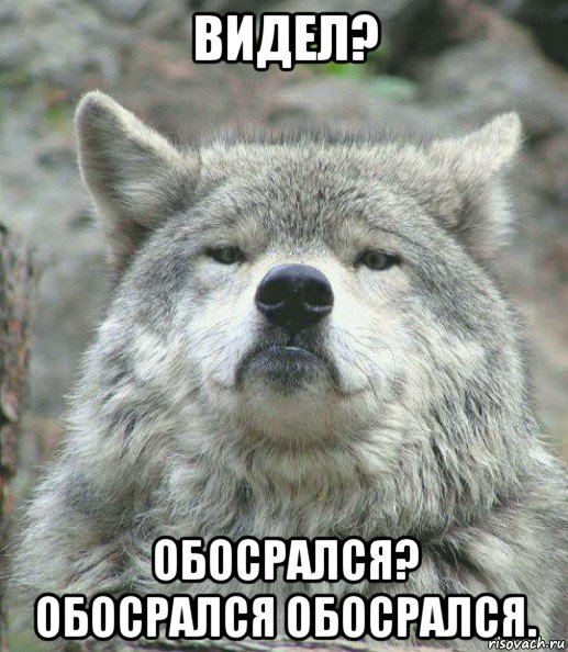 видел? обосрался? обосрался обосрался., Мем    Гордый волк