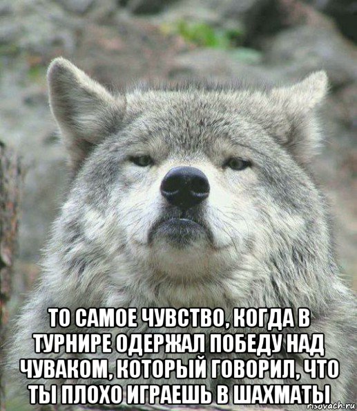  то самое чувство, когда в турнире одержал победу над чуваком, который говорил, что ты плохо играешь в шахматы