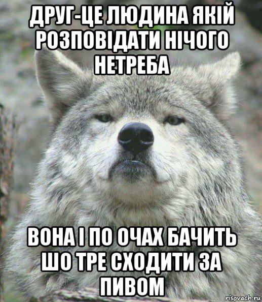 друг-це людина якій розповідати нічого нетреба вона і по очах бачить шо тре сходити за пивом, Мем    Гордый волк