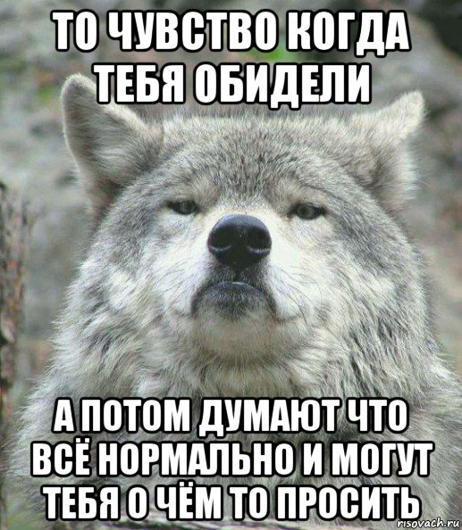 то чувство когда тебя обидели а потом думают что всё нормально и могут тебя о чём то просить, Мем    Гордый волк