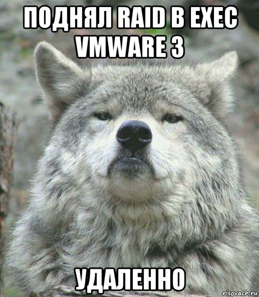 поднял raid в exec vmware 3 удаленно, Мем    Гордый волк