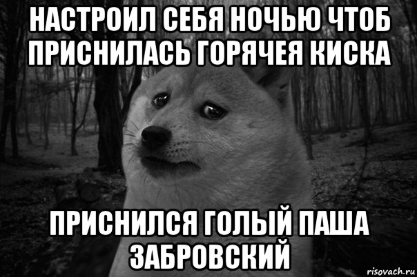 настроил себя ночью чтоб приснилась горячея киска приснился голый паша забровский, Мем    Грусть-пичаль