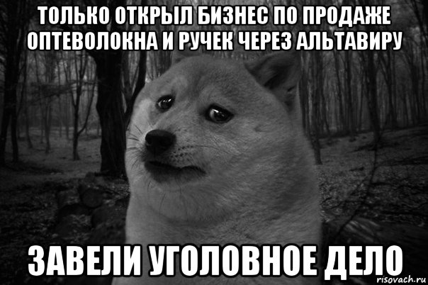 только открыл бизнес по продаже оптеволокна и ручек через альтавиру завели уголовное дело, Мем    Грусть-пичаль