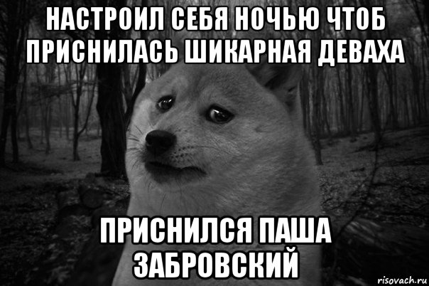 настроил себя ночью чтоб приснилась шикарная деваха приснился паша забровский, Мем    Грусть-пичаль