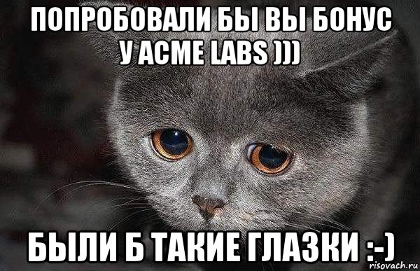 попробовали бы вы бонус у acme labs ))) были б такие глазки :-), Мем  Грустный кот