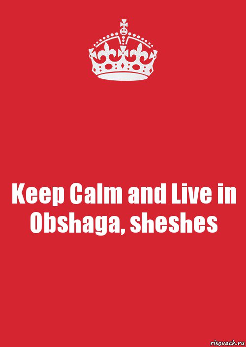 Keep Calm and Live in Obshaga, sheshes, Комикс Keep Calm 3