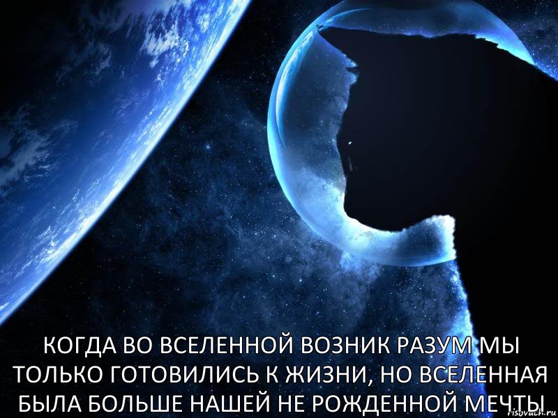 Когда во вселенной возник разум мы только готовились к жизни, но вселенная была больше нашей не рожденной мечты