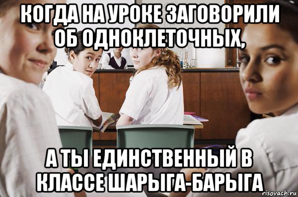 когда на уроке заговорили об одноклеточных, а ты единственный в классе шарыга-барыга