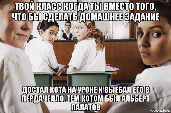 твой класс когда ты вместо того, что бы сделать домашнее задание достал кота на уроке и выебал его в пердачелло. тем котом был альберт палатов, Мем В классе все смотрят на тебя