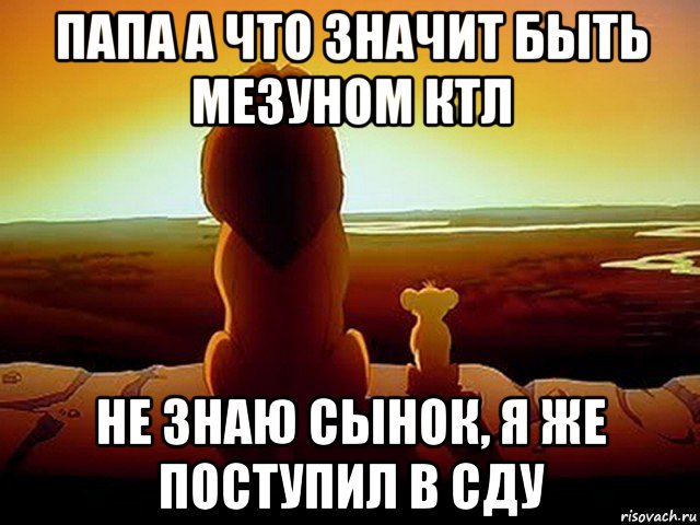 папа а что значит быть мезуном ктл не знаю сынок, я же поступил в сду, Мем  король лев