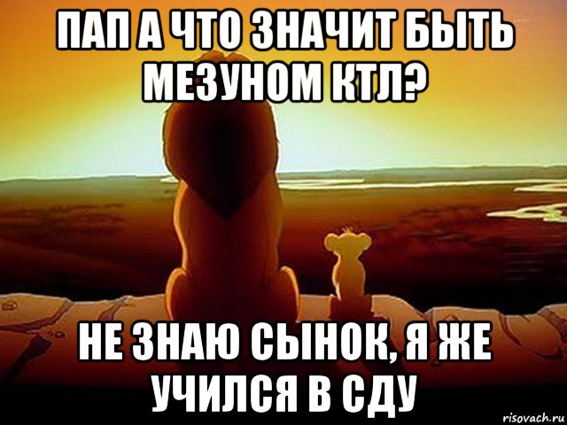 пап а что значит быть мезуном ктл? не знаю сынок, я же учился в сду