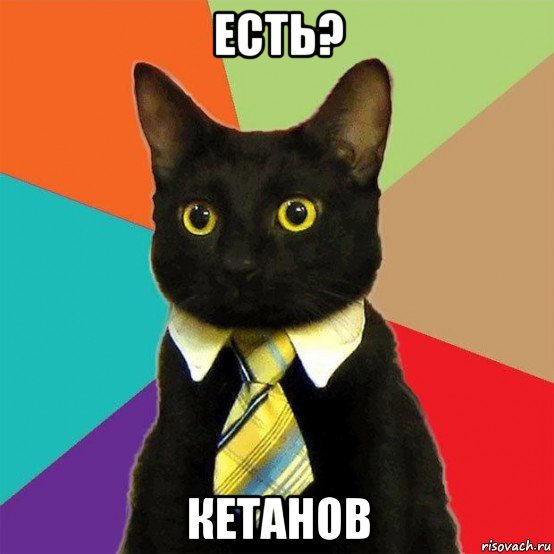 есть? кетанов, Мем  Кошечка