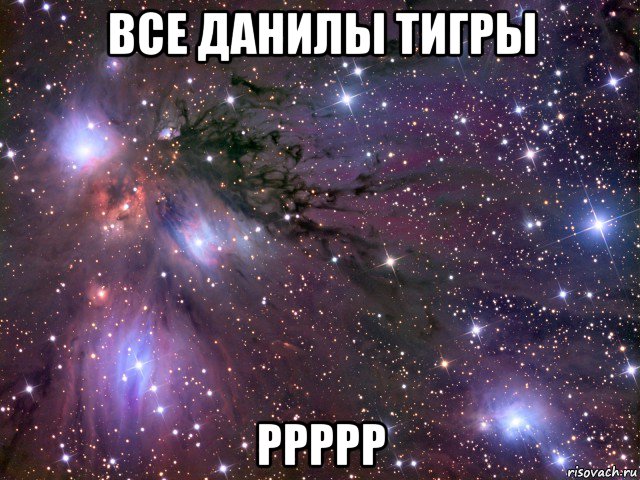 все данилы тигры ррррр, Мем Космос