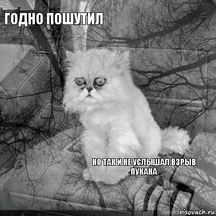 Годно пошутил      Но так и не услышал взрыв пукана   , Комикс  кот безысходность