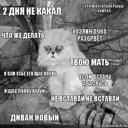 2 дня не какал если встану абасрусь хозяин очко разорвёт диван новый я сам себе его щас порву зачем я столько рыбы сожрал не вставай не вставай что же делать я щас лопну нахуй твою мать, Комикс  кот безысходность