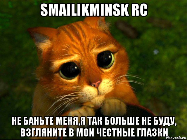 smailikminsk rc не баньте меня,я так больше не буду, взгляните в мои честные глазки, Мем кот из шрека