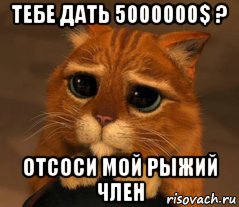 тебе дать 5000000$ ? отсоси мой рыжий член, Мем Кот из Шрека