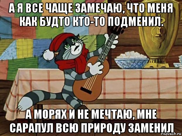 а я все чаще замечаю, что меня как будто кто-то подменил. а морях и не мечтаю, мне сарапул всю природу заменил, Мем Кот Матроскин с гитарой