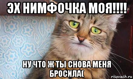 эх нимфочка моя!!!! ну что ж ты снова меня бросила(