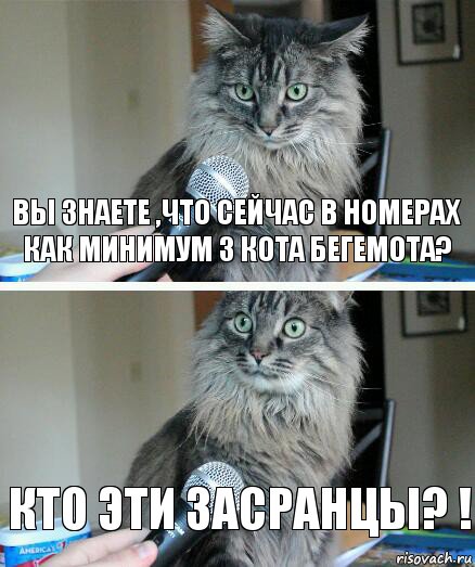 Вы знаете ,что сейчас в номерах как минимум 3 Кота Бегемота? Кто эти засранцы? !, Комикс  кот с микрофоном