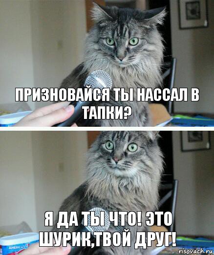 Призновайся ты нассал в тапки? я да ты что! это шурик,твой друг!, Комикс  кот с микрофоном