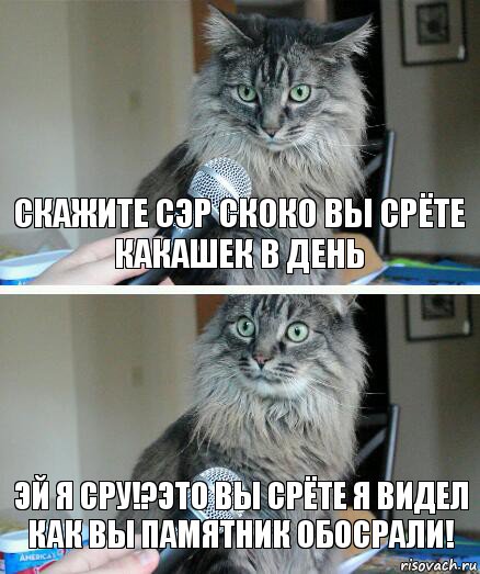 скажите сэр скоко вы срёте какашек в день эй я сру!?это вы срёте я видел как вы памятник обосрали!, Комикс  кот с микрофоном