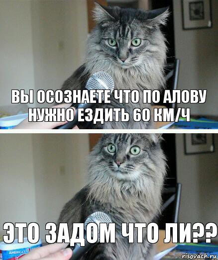 Вы осознаете что по Алову нужно ездить 60 км/ч Это задом что ли??, Комикс  кот с микрофоном