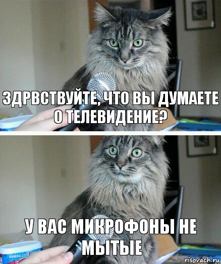 Здрвствуйте, что вы думаете о телевидение? у вас микрофоны не мытые, Комикс  кот с микрофоном