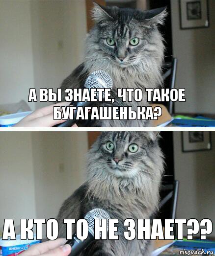 а вы знаете, что такое бугагашенька? а кто то не знает??, Комикс  кот с микрофоном