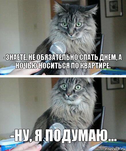 -Знаете, не обязательно спать днем, а ночью носиться по квартире. -Ну, я подумаю..., Комикс  кот с микрофоном