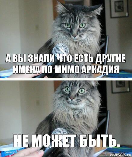 А вы знали что есть другие имена по мимо Аркадия Не может быть., Комикс  кот с микрофоном