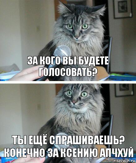 За кого вы будете голосовать? Ты ещё спрашиваешь? Конечно за Ксению Апчхуй, Комикс  кот с микрофоном