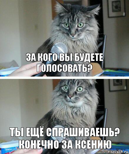 За кого вы будете голосовать? Ты ещё спрашиваешь? Конечно за Ксению, Комикс  кот с микрофоном