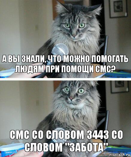 А вы знали, что можно помогать людям при помощи смс? смс со словом 3443 со словом "Забота", Комикс  кот с микрофоном